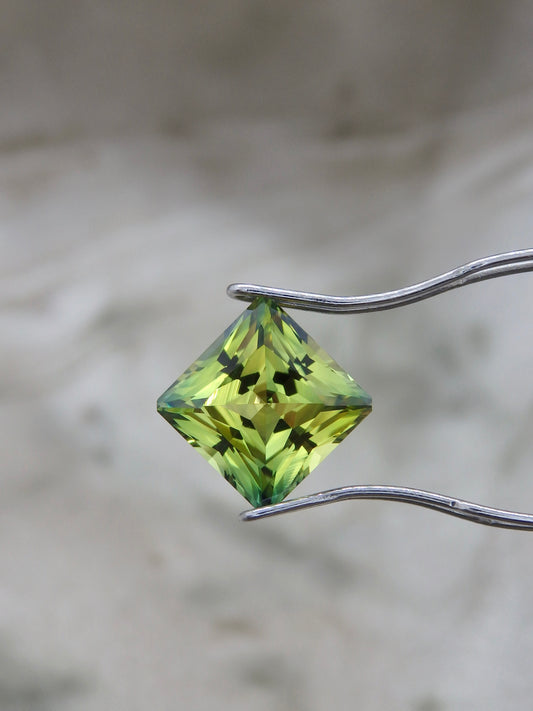 Follow-Up Appointment