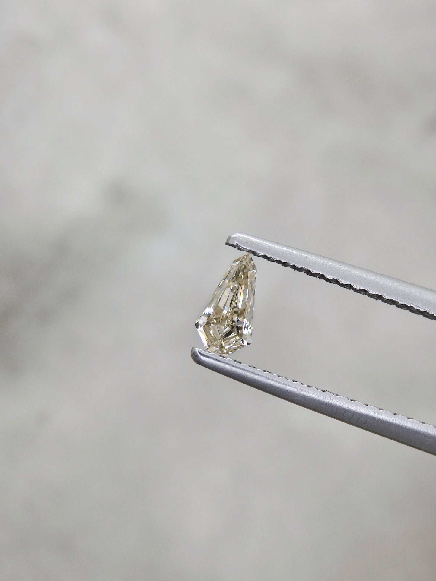 Driftwood Tapered Shield Duet Ring