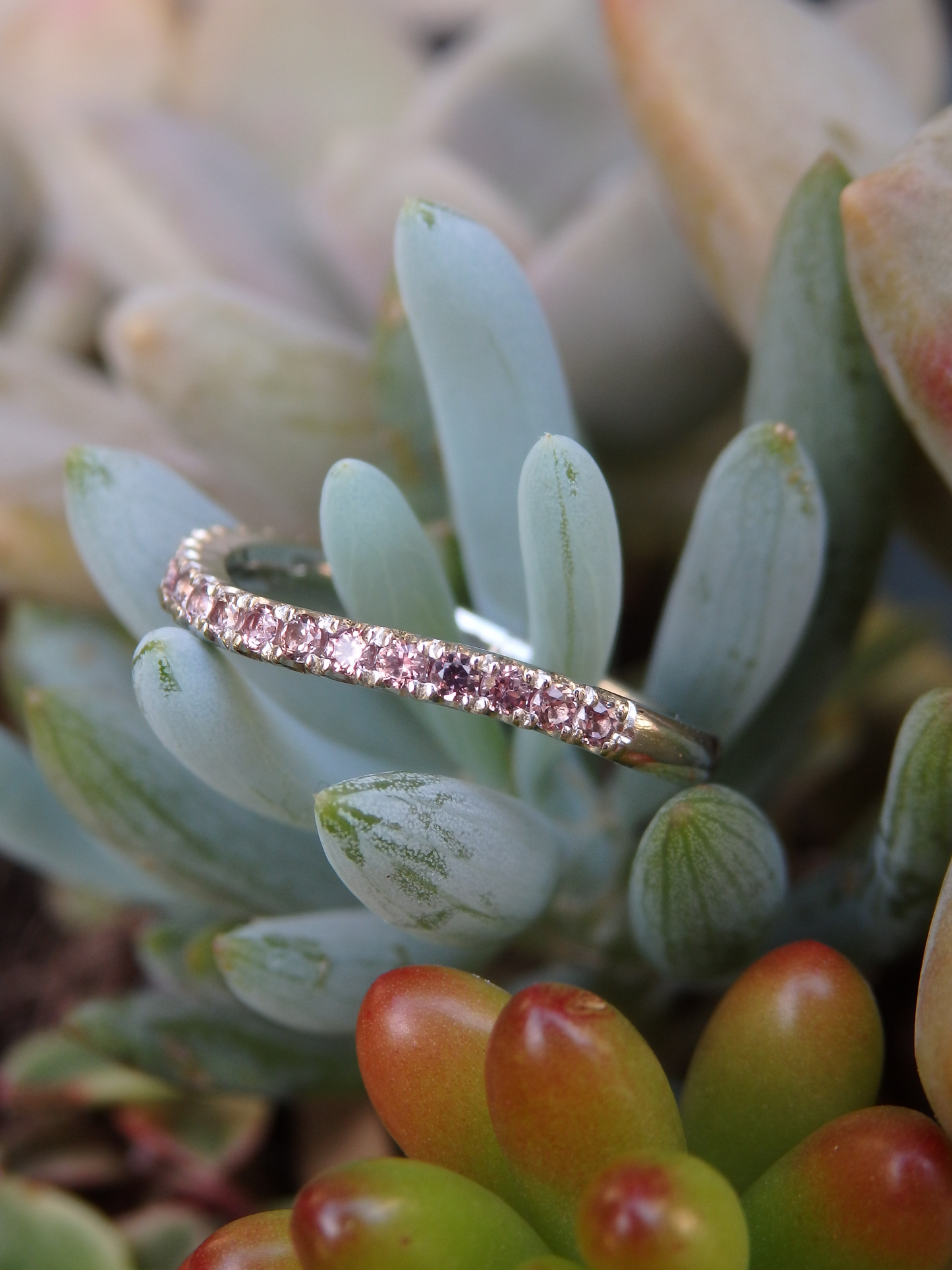Dusk Sapphire Soft Curve Wedding Ring