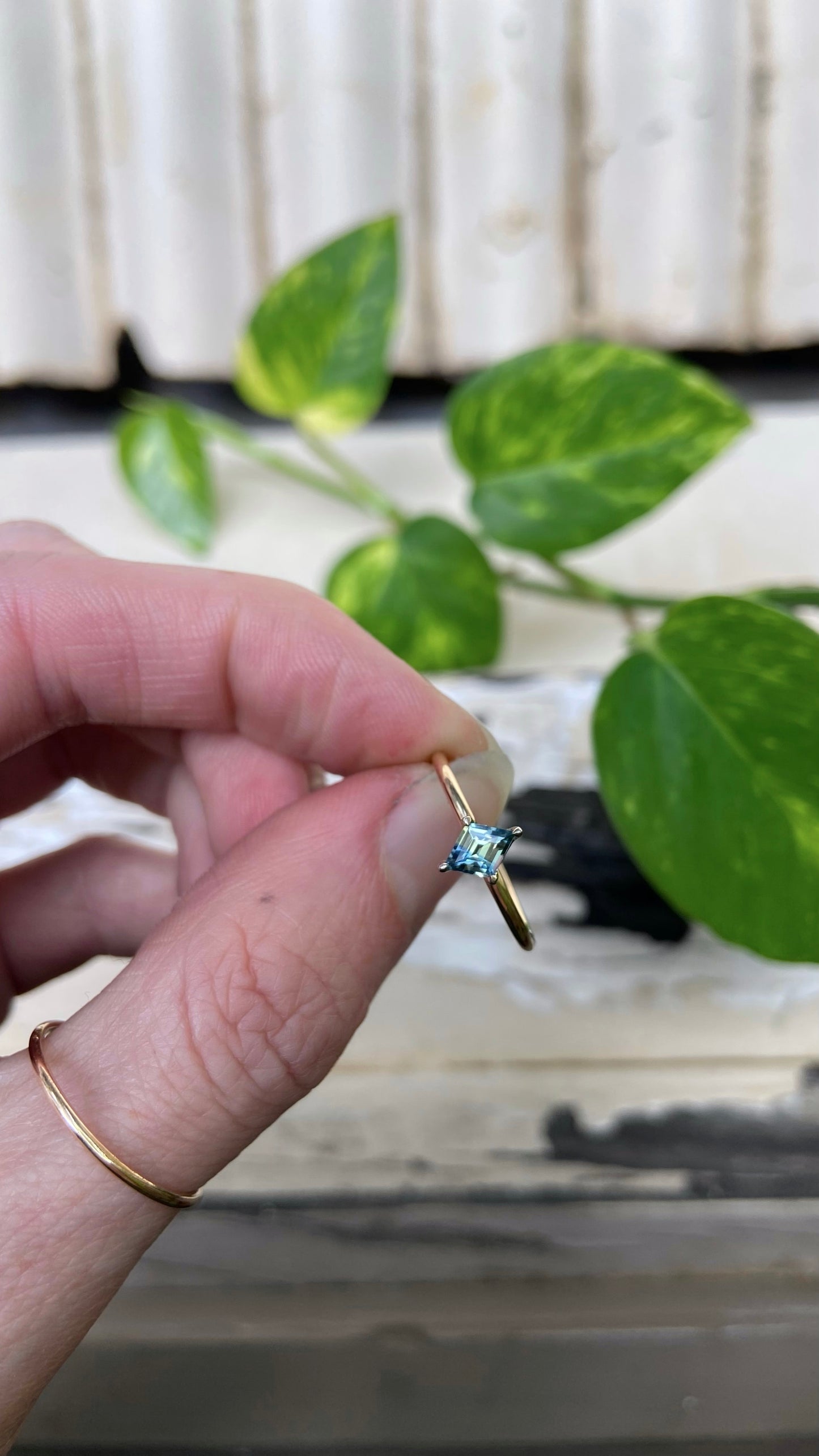 North Star Parti Sapphire Solitaire