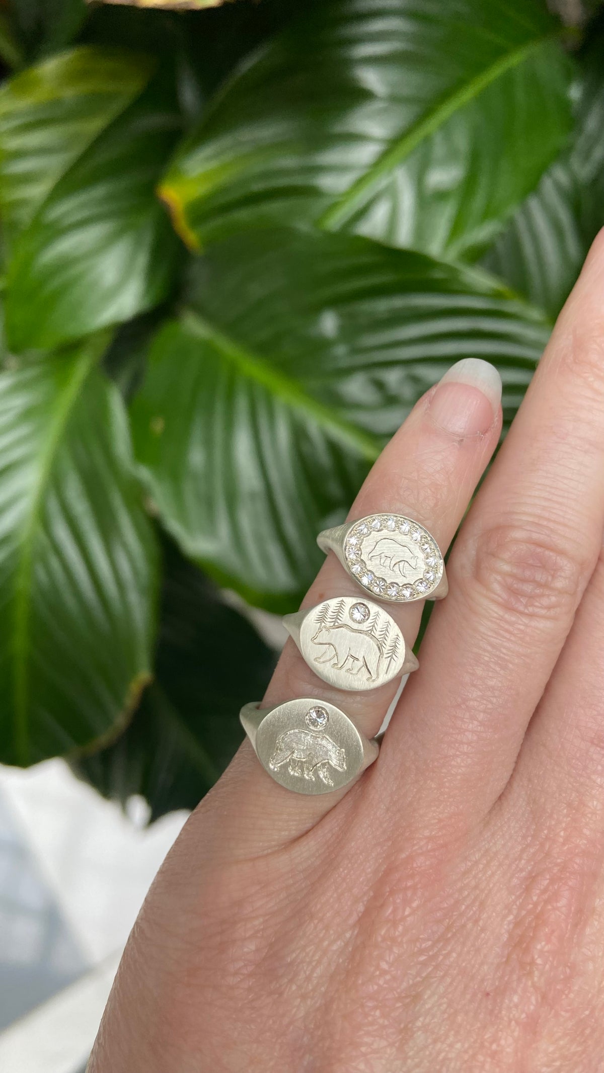 Bear Signet Rings